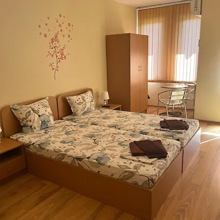 Complex Dreams Bmt Sozopol