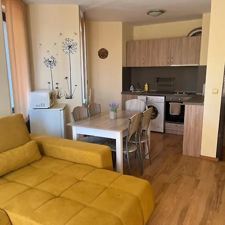 Complex Dreams Bmt * Sozopol