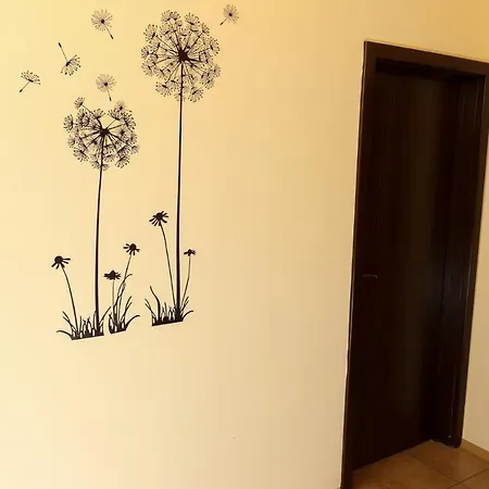 Complex Dreams Bmt Lejlighed *